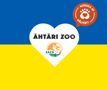 Ähtäri Zoo ja Vieraile ja Välität ry tukee Ukrainan eläintarhoja